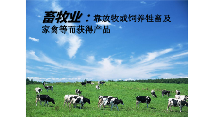人教版地理八年级上册第四章 中国的经济发展第二节 农业 (课件.
